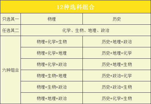 澳门一码一肖一特一中，精选解析与策略解读