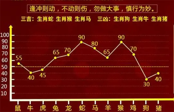 探索大三巴一肖一码100的奥秘，词语释义与实际应用的深度解析