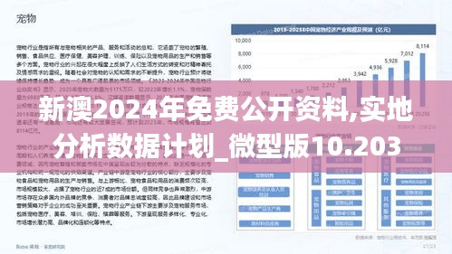 新澳2025年正版资料精选解析，深度解读与有效落实