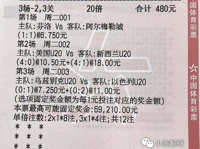 2025澳门特马，实用释义、解释与落实