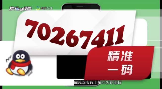 管婆家一肖一码，全面释义解释落实