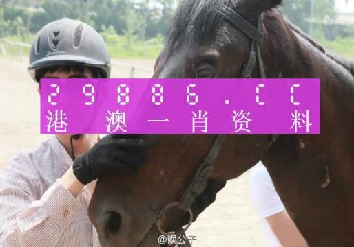 澳门精准一肖一码一一中，词语释义解释落实