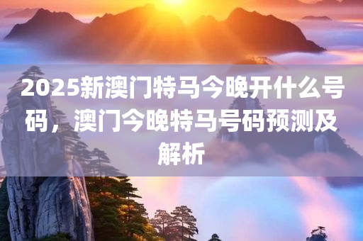 2025年澳门特马今晚结果，实用释义解释落实