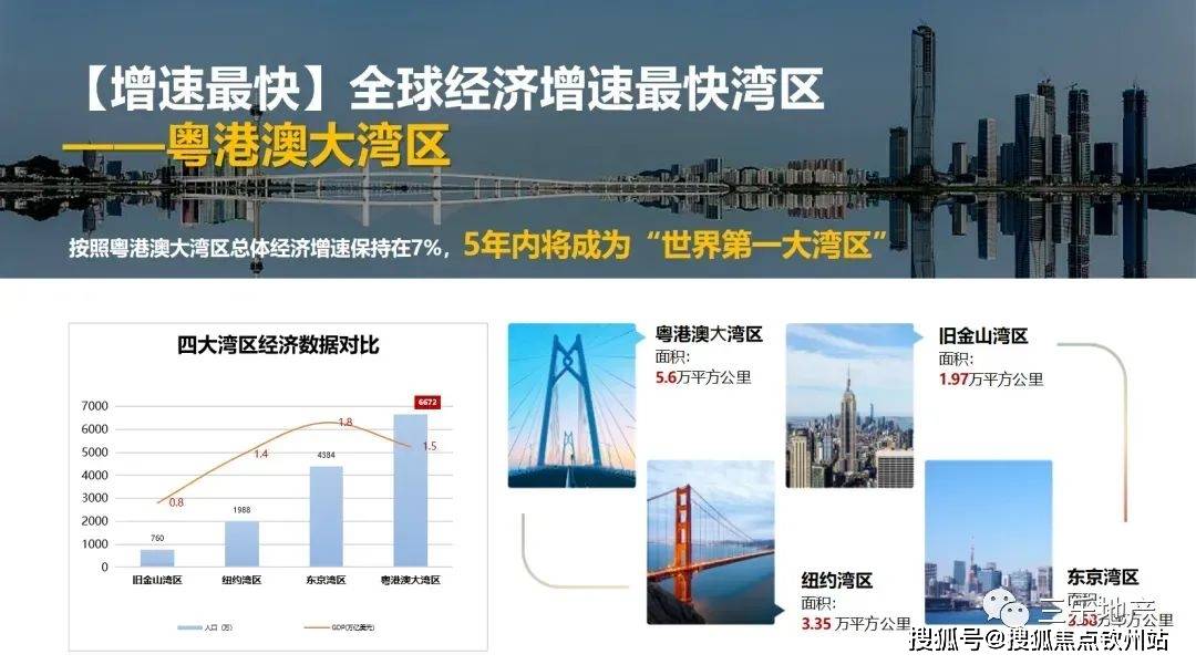 新门内部免费资料大全，全面释义解释落实