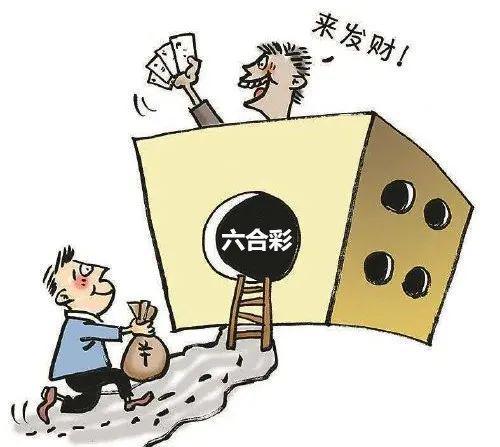 香港澳门开奖结果+开奖结果记录，全面释义解释落实